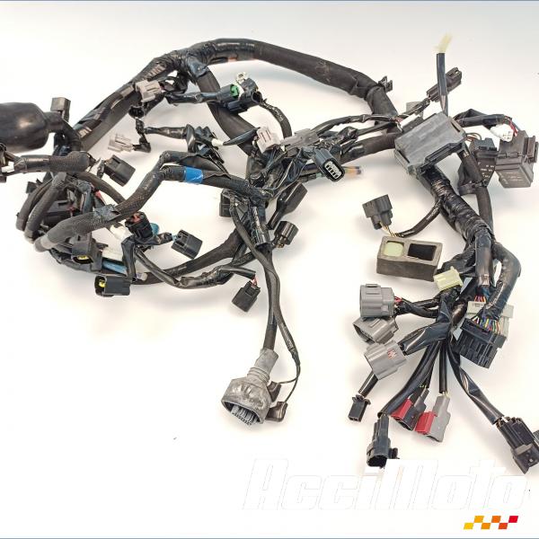 Part Motor bike Faisceau électrique (principal) KAWASAKI Z 1000