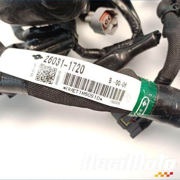 Part Motor bike Faisceau électrique (principal) KAWASAKI Z 1000