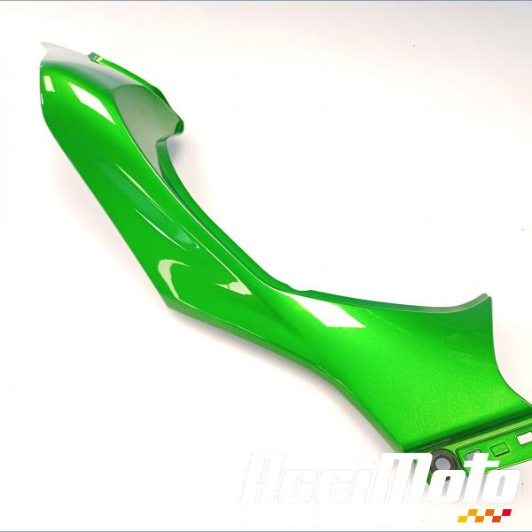 Pièce Moto Coque arrière (droite) KAWASAKI Z 1000
