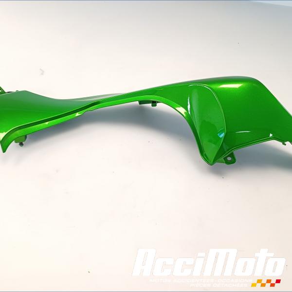 Pièce Moto Coque arrière (droite) KAWASAKI Z 1000