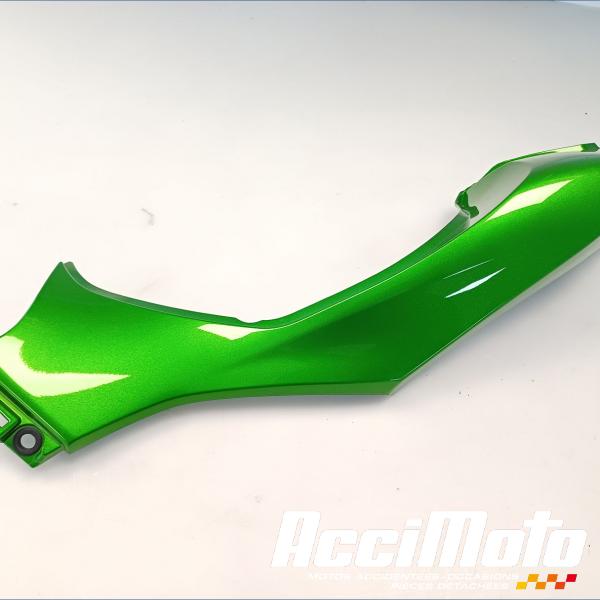 Pièce Moto Coque arrière (gauche) KAWASAKI Z 1000