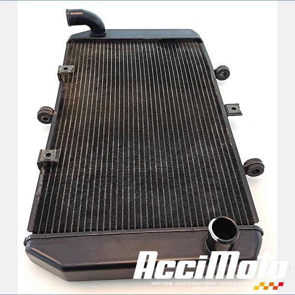 Part Motor bike Radiateur de refroidissement KAWASAKI Z 800
