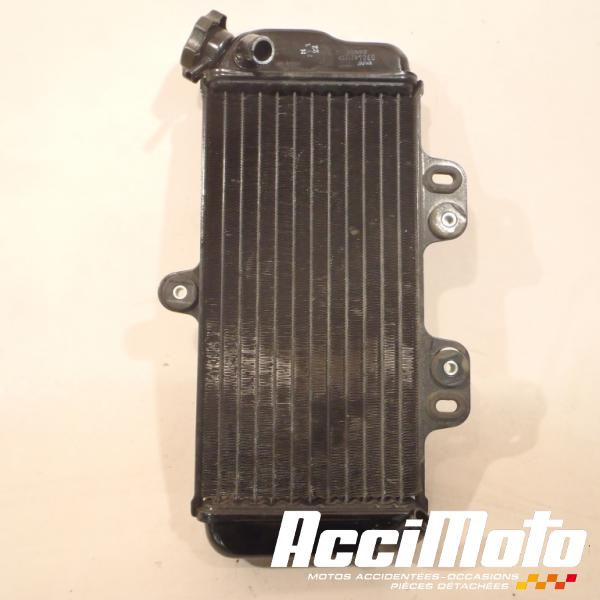 Pièce Moto Radiateur de refroidissement YAMAHA TDR 125