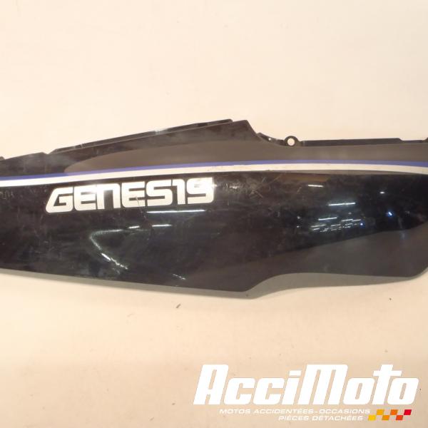 Pièce Moto Coque arrière (droite) YAMAHA FZR 600