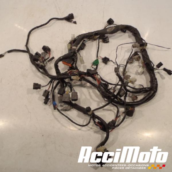 2006 Kawasaki Zx6r Wiring