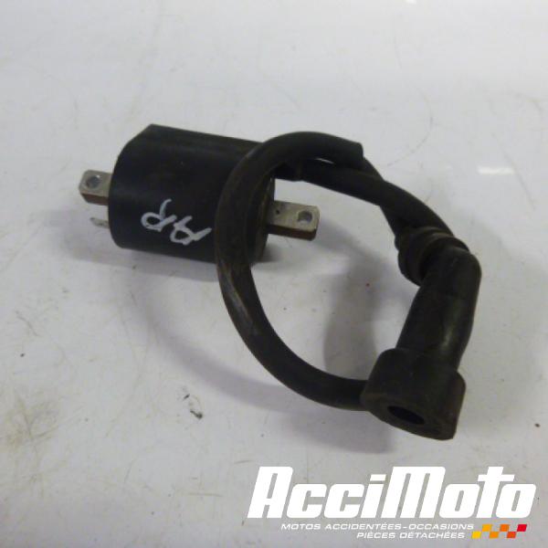 Part Motor bike Bobine d'allumage cylindre avant YAMAHA BULLDOG BT1100