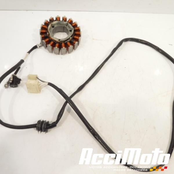 Pièce Moto Stator d'alternateur YAMAHA TMAX XP530 DX