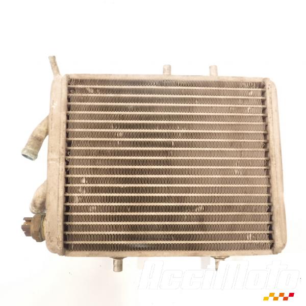 Part Motor bike Radiateur de refroidissement APRILIA LEONARDO 125 