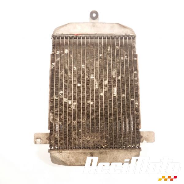 Pièce Moto Radiateur de refroidissement SUZUKI BURGMAN AN400