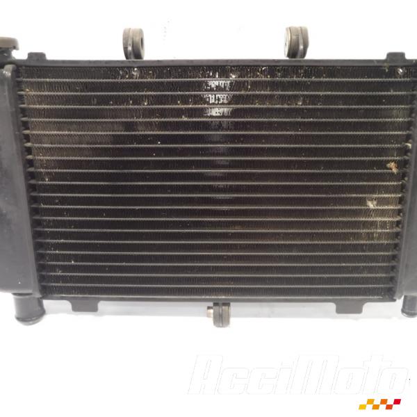 Pièce Moto Radiateur de refroidissement YAMAHA FZ6 S FAZER