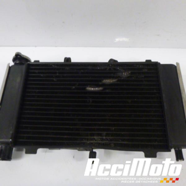 Pièce Moto Radiateur de refroidissement YAMAHA FZ6 N