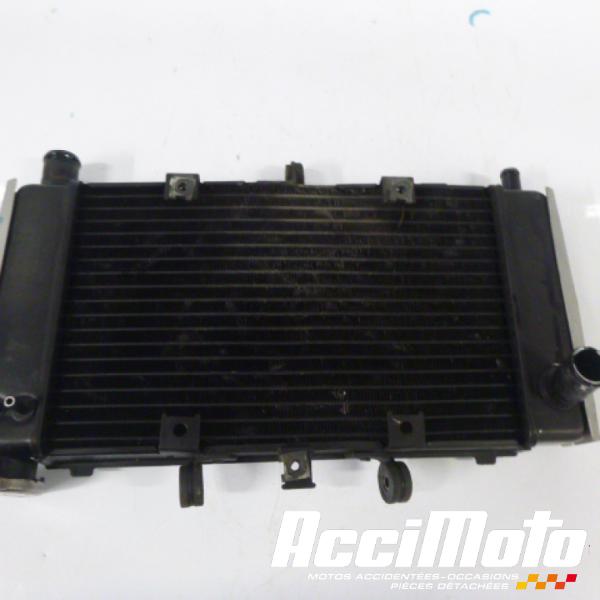 Pièce Moto Radiateur de refroidissement YAMAHA FZ6 N