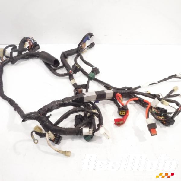 Pièce Moto Faisceau électrique (principal) YAMAHA R6 YZF600