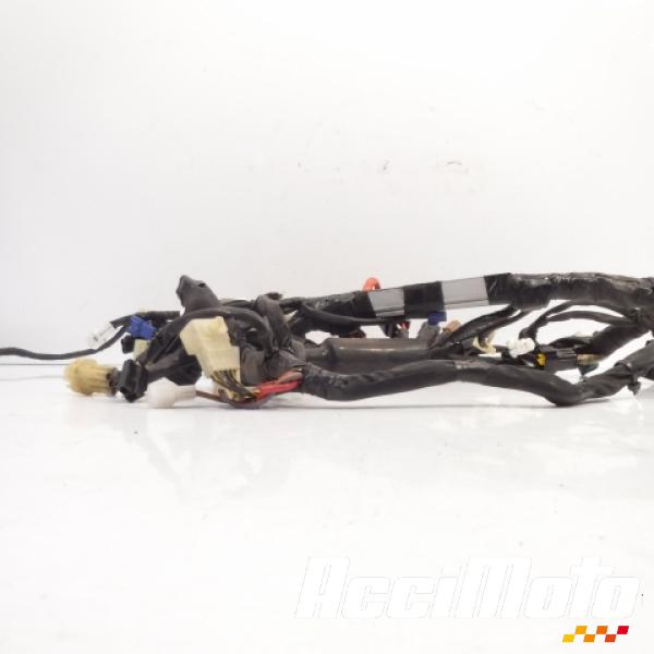 Pièce Moto Faisceau électrique (principal) YAMAHA R6 YZF600