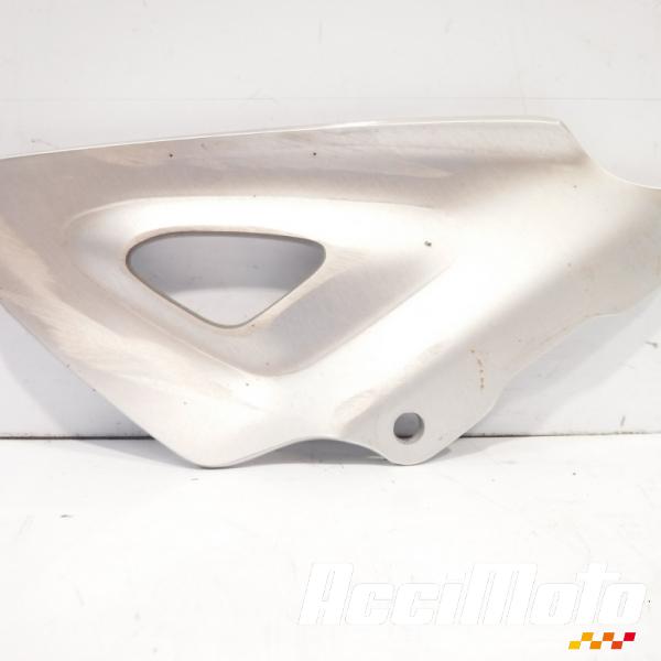 Part Motor bike Protection de pied TRIUMPH TIGER 1050