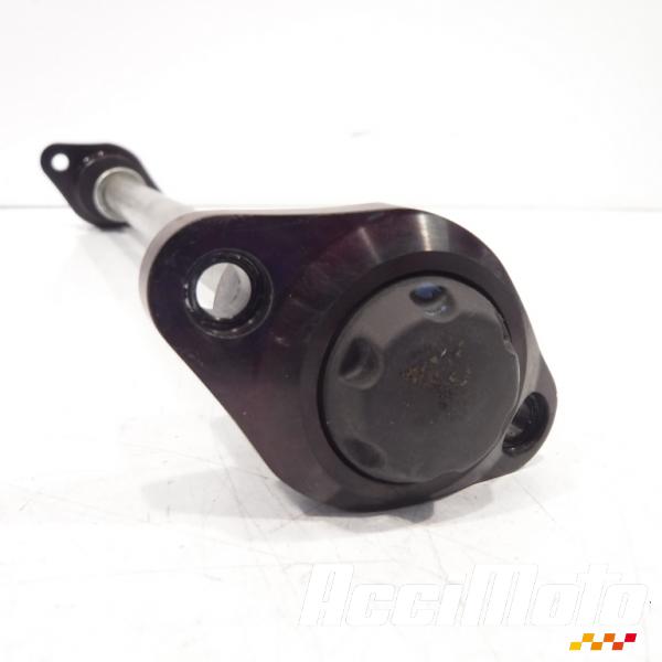 Part Motor bike Axe de bras oscillant TRIUMPH STREET TRIPLE 675 R