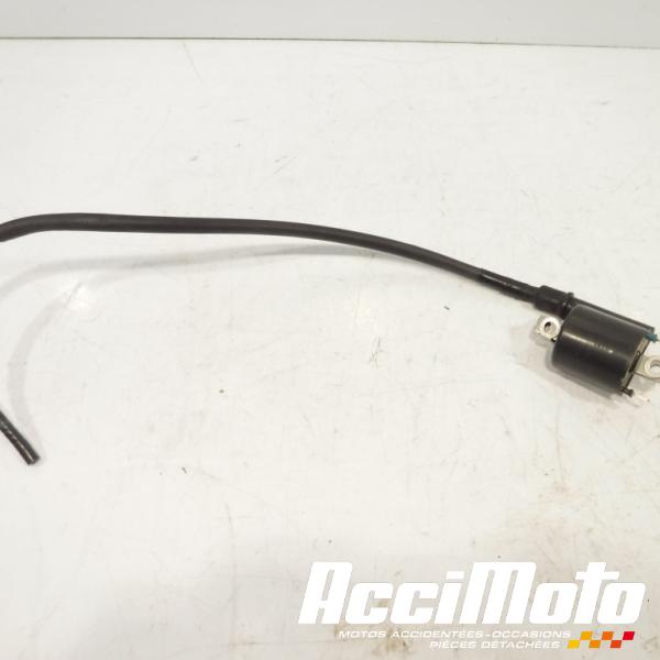 Part Motor bike Bobine d'allumage HONDA NC700D INTEGRA