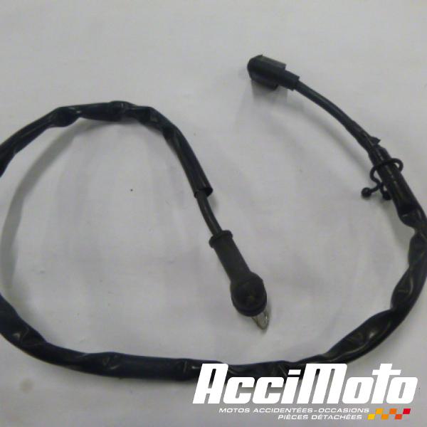 Pièce Moto Cable de batterie négatif (-) YAMAHA FZ6 N