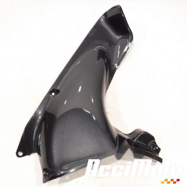 Pièce Moto Intérieur de tête de fourche (gauche) KAWASAKI ZX9R