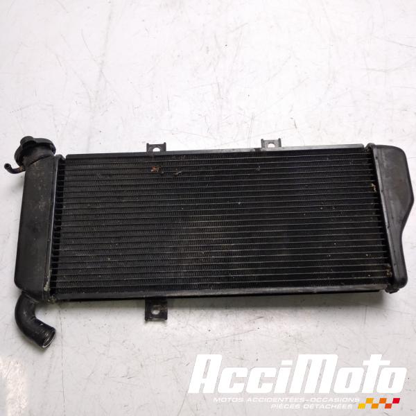 Part Motor bike Radiateur de refroidissement KAWASAKI ER6 N