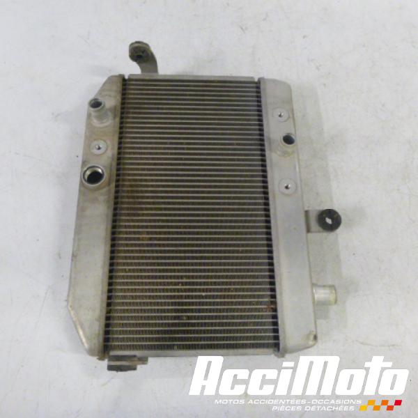 Pièce Moto Radiateur de refroidissement SUZUKI BURGMAN AN400