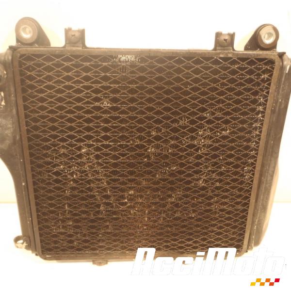 Part Motor bike Radiateur de refroidissement KAWASAKI GTR ZG1000