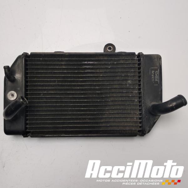 Part Motor bike Radiateur de refroidissement HONDA TRANSALP XL700V