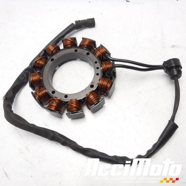 Part Motor bike Stator d'alternateur HARLEY DAVIDSON SPORTSTER XL883N IRON