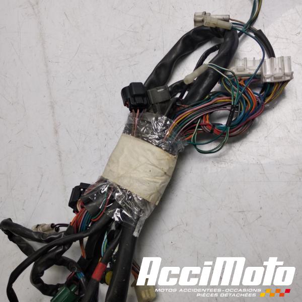 Part Motor bike Faisceau électrique (principal) APRILIA FALCO SL1000