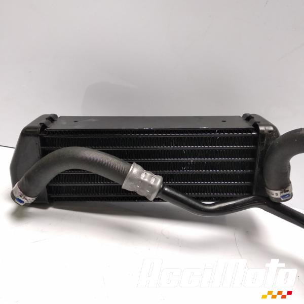 Grille Protection Radiateur Huile Moto Pour BMW K1600 GT / GTL / B - Couvercle Calandre Avant Carénage, Défense Anti-Pierres & Insectes