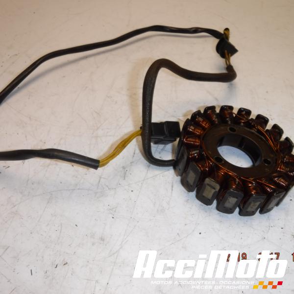 Pièce Moto Stator d'alternateur SUZUKI GS 500E