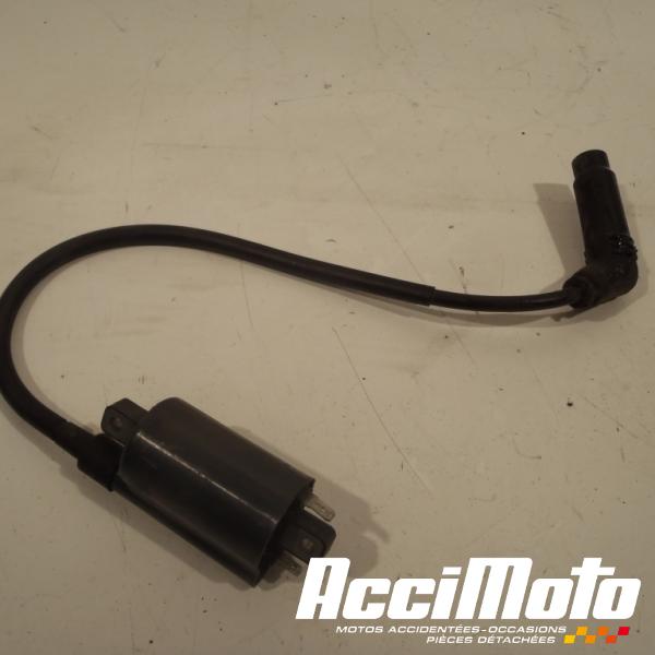 Part Motor bike Bobine d'allumage cylindre avant APRILIA RSV 1000