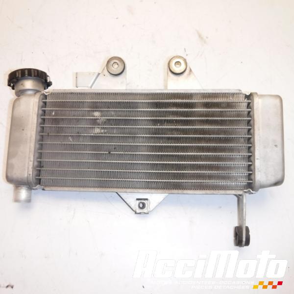 Part Motor bike Radiateur de refroidissement HONDA VARADERO XL125V