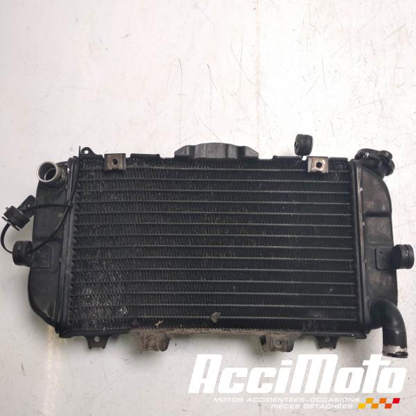 Part Motor bike Radiateur de refroidissement YAMAHA TRX 850