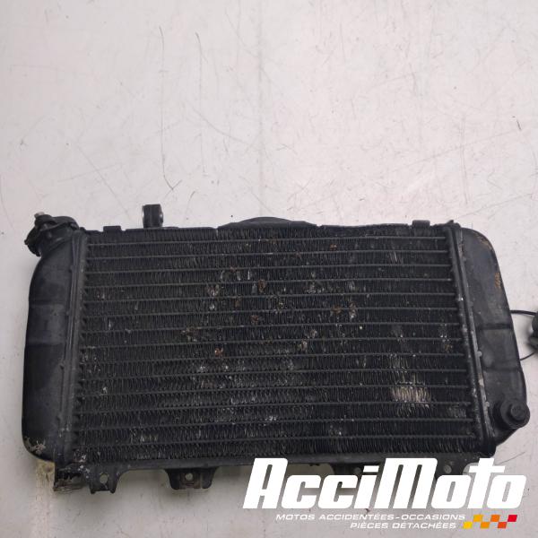 Part Motor bike Radiateur de refroidissement YAMAHA TRX 850