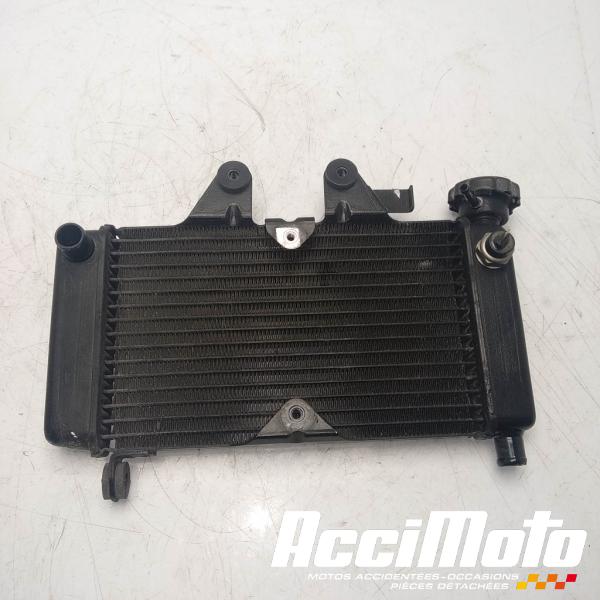Part Motor bike Radiateur de refroidissement HONDA SHADOW VT125C