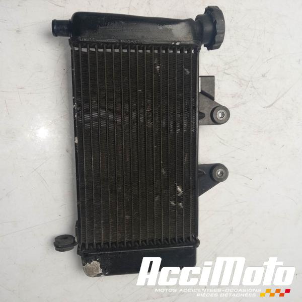 Part Motor bike Radiateur de refroidissement HONDA SHADOW VT125C