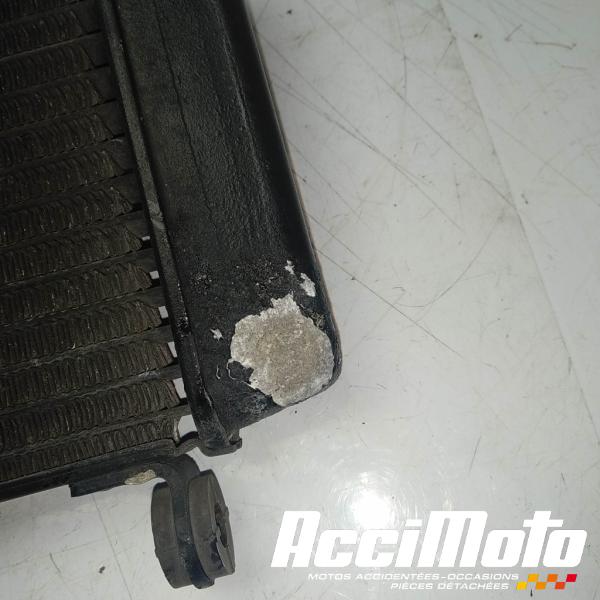 Part Motor bike Radiateur de refroidissement HONDA SHADOW VT125C