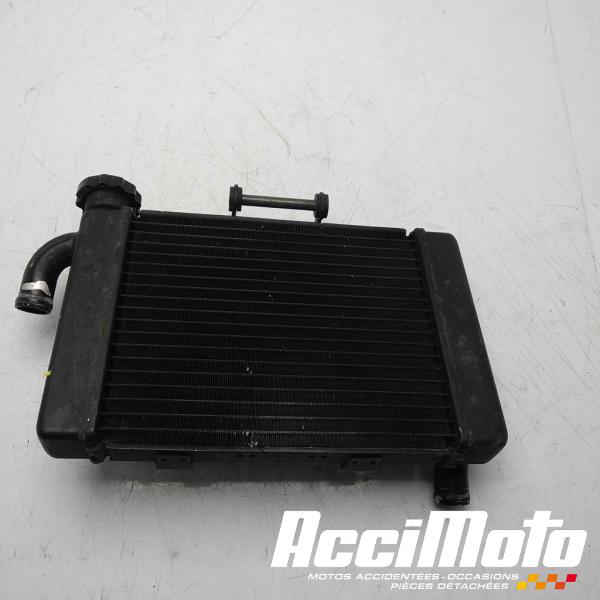 Part Motor bike Radiateur de refroidissement BENELLI BN 302