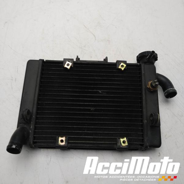 Part Motor bike Radiateur de refroidissement BENELLI BN 302