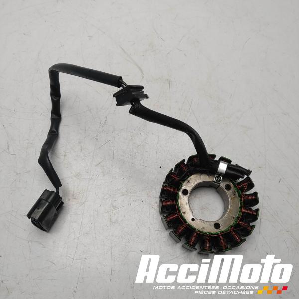 Part Motor bike Stator d'alternateur BENELLI BN 302