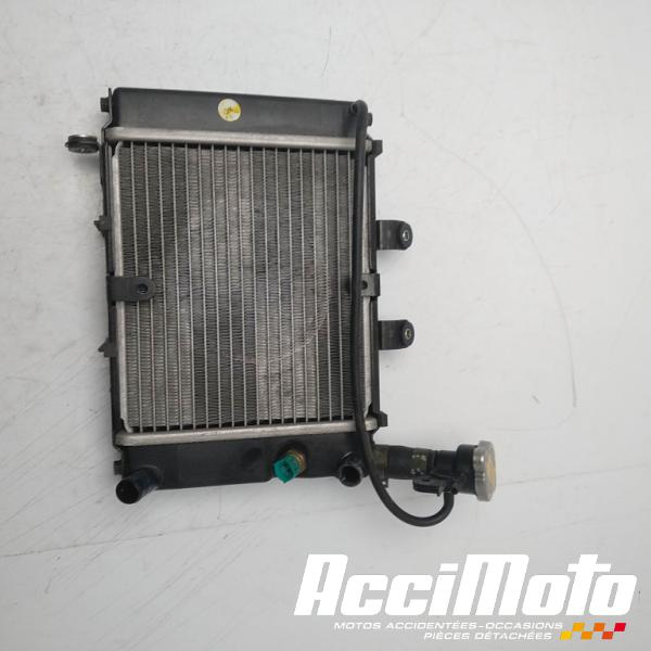 Pièce Moto Radiateur de refroidissement DAELIM ROADSPORT 125