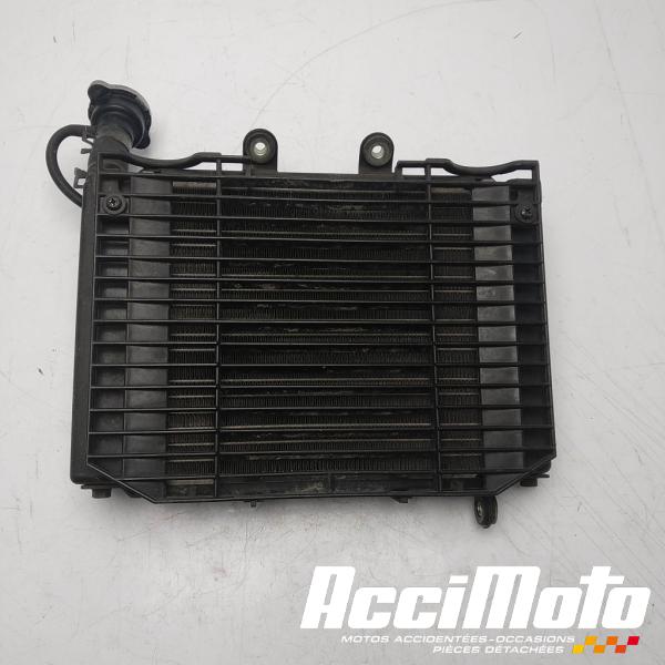 Pièce Moto Radiateur de refroidissement DAELIM ROADSPORT 125