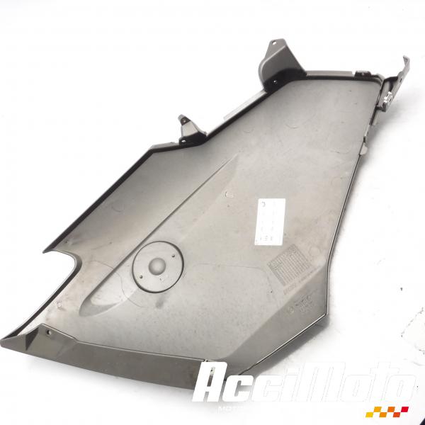Pièce Moto Flanc de carénage avant (droit) BMW R1200 RT