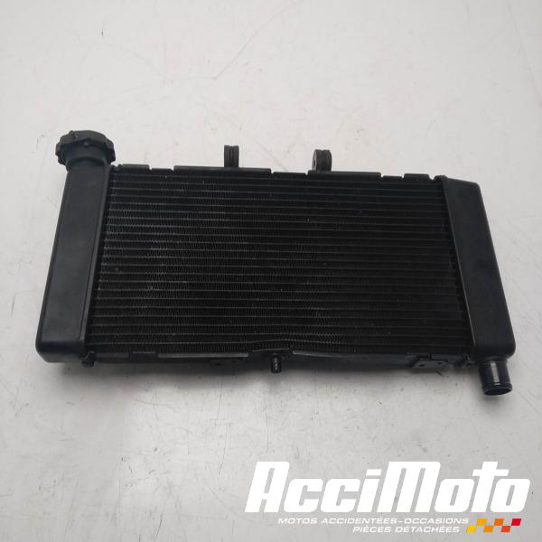 Part Motor bike Radiateur de refroidissement HONDA CTX700