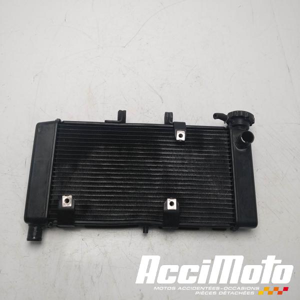 Part Motor bike Radiateur de refroidissement HONDA CTX700