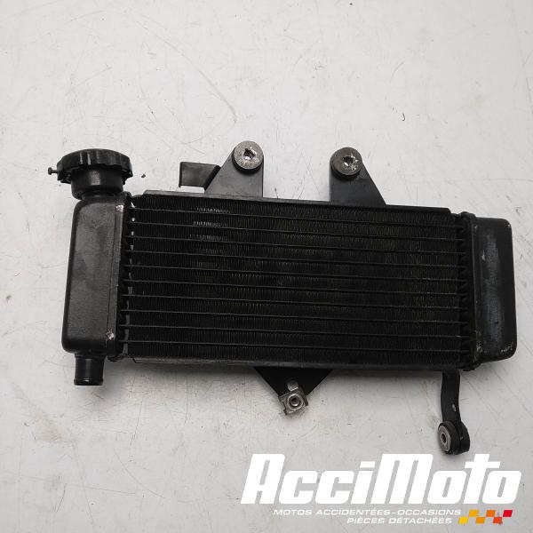 Part Motor bike Radiateur de refroidissement HONDA SHADOW VT125C