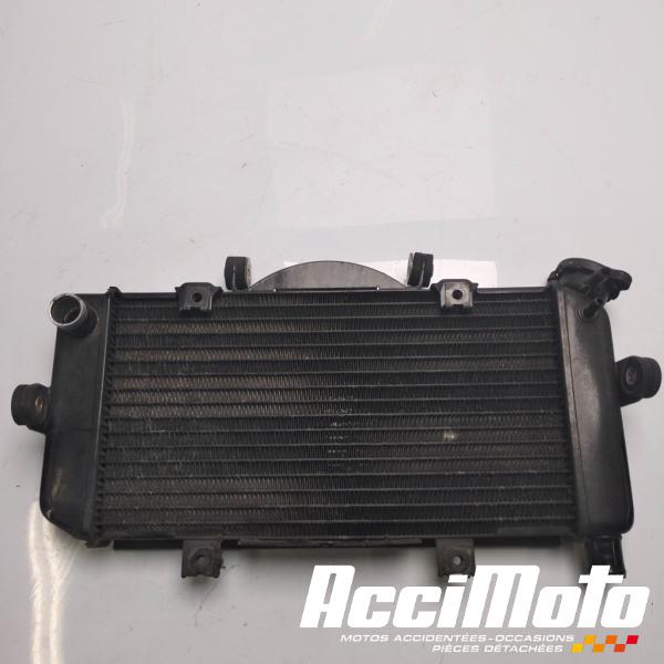 Pièce Moto Radiateur de refroidissement YAMAHA TDM 900