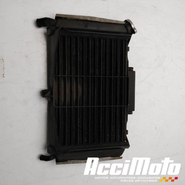 Part Motor bike Radiateur de refroidissement YAMAHA FZ6 S FAZER