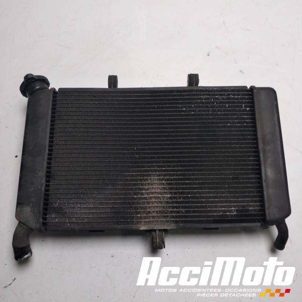 Part Motor bike Radiateur de refroidissement YAMAHA XJ6F DIVERSION